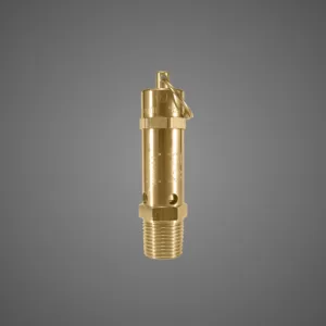 Safety Valve